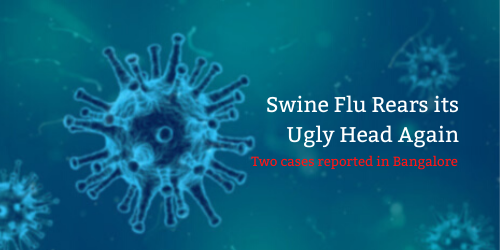 Swine Flu India